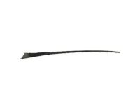 Ford AM5Z-5803178-A Pillar Molding Retainer Strip, Passenger Side