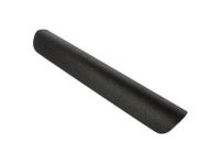 Ford CJ5Z-7822620-AA Trim Molding, Charcoal, Front Passenger Side