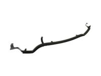 Ford FT4Z-5825325-C Front Weatherstrip, Driver Side