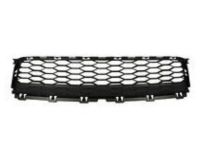 Ford GD9Z-17K945-A Lower Grille, Front
