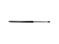 Ford BA1Z-78406A10-A Lift Cylinder, Passenger Side