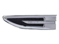Ford AG1Z-16178-B Nameplate, Front Driver Side