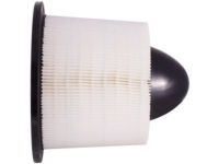 Ford YC3Z-9601-AA Element Assembly - Air Cleaner