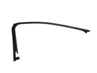 Ford CJ5Z-7851753-AA Window Molding, Front Driver Side