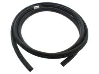 Ford BL3Z-1520708-B Weatherstrip On Body, Front Passenger Side