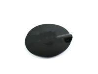 Ford 4L3Z-83405A26-BAA Fuel Door, Rear