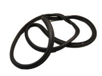 Ford 8T4Z-78404A06-A Weatherstrip, Rear