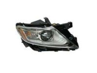 Ford GD9Z-13008-D Lamp Assembly, Passenger Side