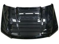 Ford HL3Z-16612-A Hood, Front