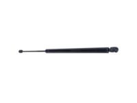 Ford YL8Z-78406A10-AA Lift Assembly - Gas, Passenger Side