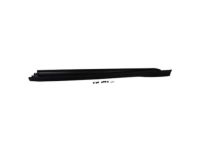 Ford CM5Z-5810177-AA Rocker Molding, Driver Side