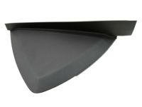 Ford CV6Z-58044C60-AB End Cap, Black, Passenger Side