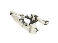 Ford GD9Z-54042D94-A Curtain Assembly, Passenger Side