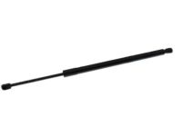 Ford 7L1Z-78406A11-B Lift Cylinder, Rear Driver Side