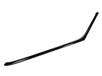 Ford 8A8Z-7420550-A Window Molding, Front Passenger Side