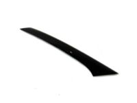 Ford BA8Z-7403136-AA Reveal Molding, Front Passenger Side