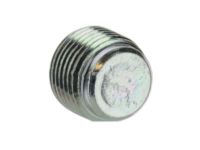 Ford -W700251-S437 Differential Plug, Rear Lower