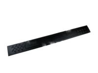 Ford 9L3Z-1613208-BA Scuff Plate, Charcoal/Gray, Front Passenger Side