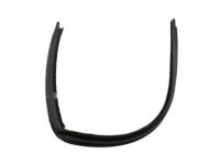 Ford 9C3Z-2851222-A Weatherstrip, Passenger Side