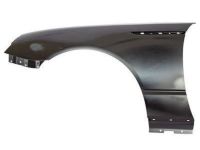 Ford Thunderbird Fender - 1W6Z-16006-AA Fender, Front Driver Side