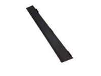 Ford 3W1Z-5420555-AAA Window Molding, Black, Driver Side