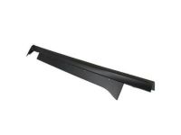 Ford DT1Z-5810176-AA Front Rocker Molding, Passenger Side