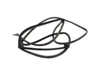 Ford BB5Z-7825325-A Door Weatherstrip, Rear Outer Driver Side