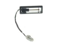 Ford FL3Z-14A318-Q Courtesy Lamp, Driver Side
