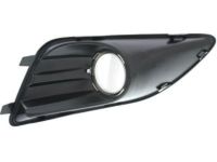 Ford DM5Z-17B814-A Outer Grille, Passenger Side