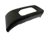 Ford FL3Z-16038-APTM Moulding - Bumper Bar, Passenger Side