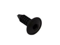 Ford -W709883-S300 Rocker Molding Clip