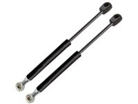 Ford F75Z-7842104-AB Lift Cylinder, Rear