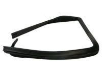 Ford 9L3Z-1825766-A Window Channel, Rear Outer Passenger Side