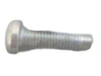 Ford -W505574-S437 Lock Cylinder Screw