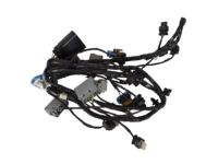 Ford DV6Z-15K867-B Wire Harness, Front
