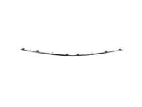 Ford DA5Z-17C830-A Molding, Front