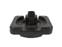 Ford FR3Z-4A263-A Damper, Rear