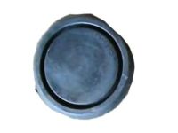 Ford -385138-S Plug