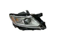 Ford BA1Z-13008-L Headlamp Housing, Passenger Side