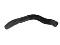 Ford BR3Z-8260-AA Water Pump Belt, Upper
