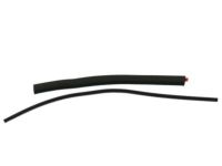 Ford AL3Z-15262A80-A Weatherstrip Assembly - Sliding Glass