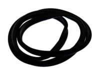 Ford DP5Z-5443720-B Weatherstrip, Rear