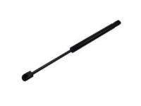 Ford DP5Z-16C826-B Lift Cylinder