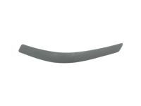 Ford F87Z-17K833-AAB Impact Strip, Front Driver Side