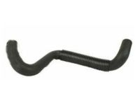 Ford 5M6Z-8286-BD Lower Hose