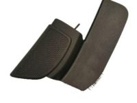 Ford CV6Z-18978-BA Speaker Grille, Front Passenger Side