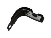 Ford BL3Z-16001A09-A Rear Plate Support Bracket, Driver Side
