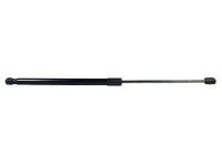 Ford BE8Z-58406A10-A Lift Cylinder, Rear
