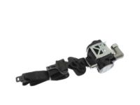 Ford DG1Z-54611B09-AC Lap & Shoulder Belt, Charcoal Black, Front Driver Side