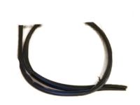 Ford XW7Z-5451822-AA Weatherstrip, Passenger Side